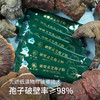 破壁灵芝孢子粉100g/盒（2g*50袋）破壁后更适合人体肠胃直接吸收 每100公斤灵芝收集1公斤灵芝孢子粉 商品缩略图8