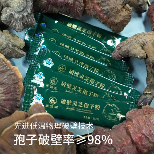 破壁灵芝孢子粉100g/盒（2g*50袋）破壁后更适合人体肠胃直接吸收 每100公斤灵芝收集1公斤灵芝孢子粉 商品图8