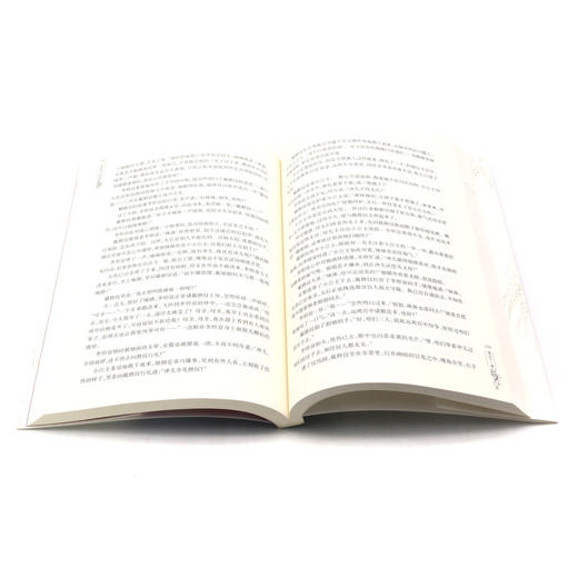 天圣令(4) 商品图4