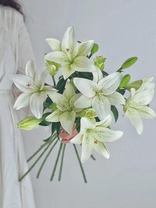 【周四秒杀】眼线百合多头3支39.8元 商品图1