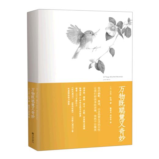 万物既聪慧又奇妙 商品图0