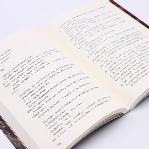 西出玉门(上) 商品图4