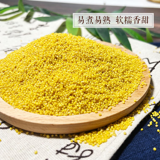 打谷塬陕北米脂黄小米1千克袋装 商品图2