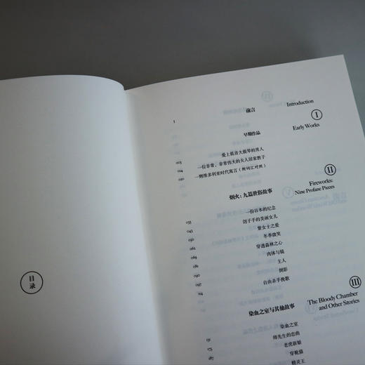 (仓发) 焚舟纪（精装大开本，全新修订版）/南京大学出版社/[英]安吉拉·卡特/9787305204784 商品图6