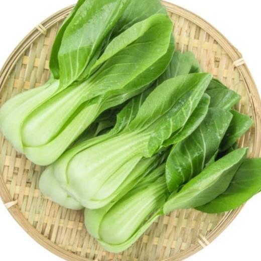 上海青500g/份 商品图0