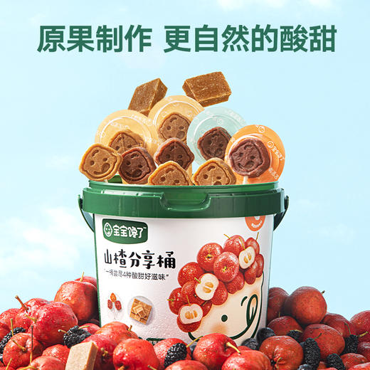 【宝宝馋了】山楂分享桶 原果制作 送12月+婴幼儿食谱 商品图1
