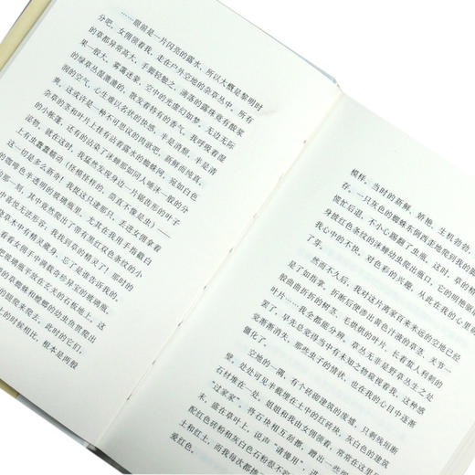 幽灵(一个关于童年和青春的故事)(精) 商品图4