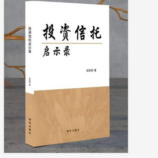 (仓发) 投资信托启示录/新华出版社/武跃强/9787516653104 商品图0