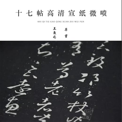 王羲之《十七帖》原大高清宣纸复制（未装裱） 商品图0