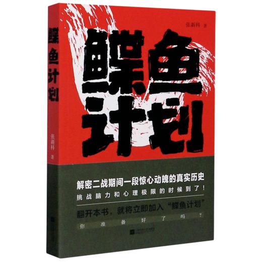 鲽鱼计划 商品图0