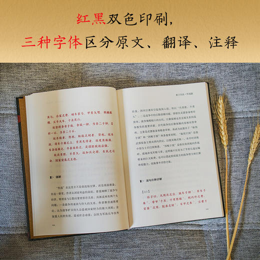 孙子兵法 孙武 著 战略 策略 军事政治人文社科书籍 三种字体区分原文 翻译和注释 商品图2