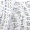 (仓发) 学生英汉汉英词典 双色插图版 英语字典词典工具书小学初中高中学生实用牛津词典大学四六级/商务印书馆国际有限公司/9787517604747 商品缩略图5