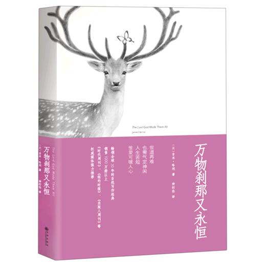 万物刹那又永恒 商品图0