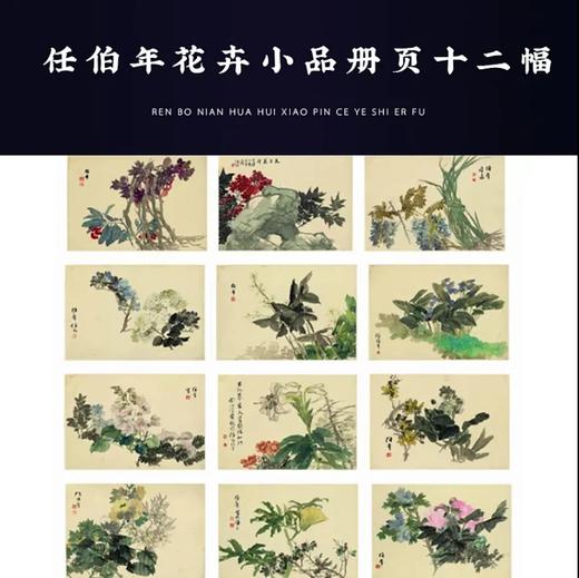 任伯年花鸟小品12幅  原大高清宣纸复制（未装裱） 商品图0