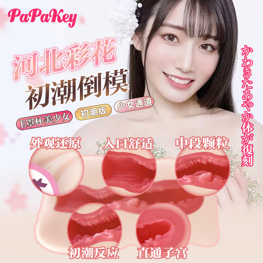 【河北彩花】日本papakey河北彩花真人名器倒模飞机杯首次代言！ 商品图2