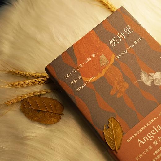 (仓发) 焚舟纪（精装大开本，全新修订版）/南京大学出版社/[英]安吉拉·卡特/9787305204784 商品图3