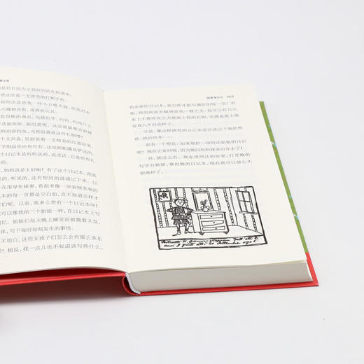 捣蛋鬼日记(名家全译本口袋书)/读小兽文库 商品图4