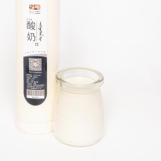 无糖酸牛奶｜草原益生菌｜无负担低脂330g 商品图1
