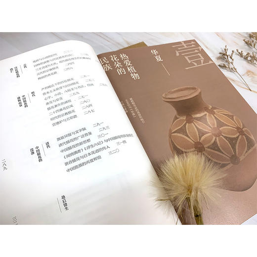 中国插花历史研究 商品图4