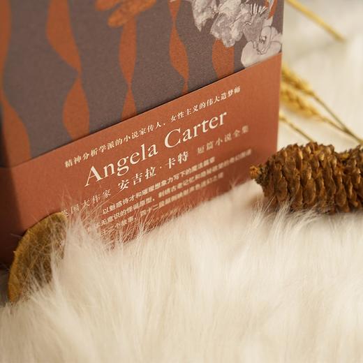 (仓发) 焚舟纪（精装大开本，全新修订版）/南京大学出版社/[英]安吉拉·卡特/9787305204784 商品图2