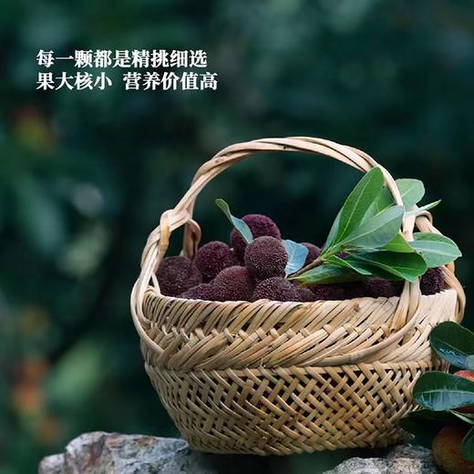 兰溪陶奉源荸荠杨梅 商品图2