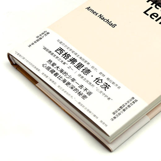 少年与沉默之海(精) 商品图2