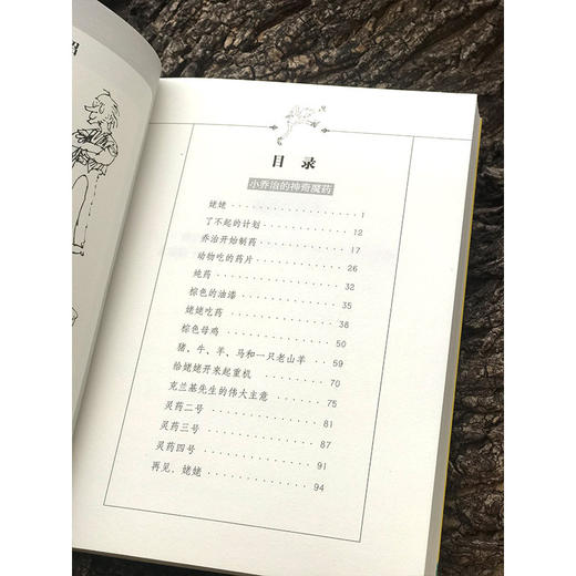 (仓发) 罗尔德·达尔作品典藏·小乔治的神奇魔药 课外阅读 暑期阅读 课外书/明天出版社/[英] 罗尔德·达尔/9787533259648 商品图6