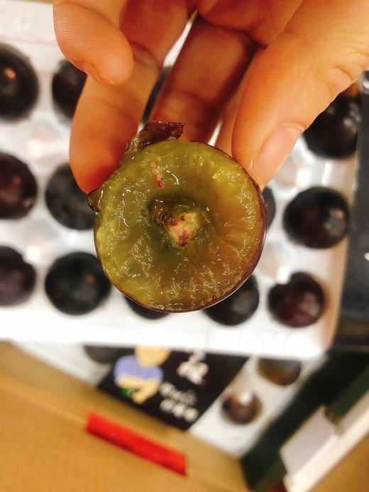 葡提老祖葡萄一盒（拼团） 商品图2