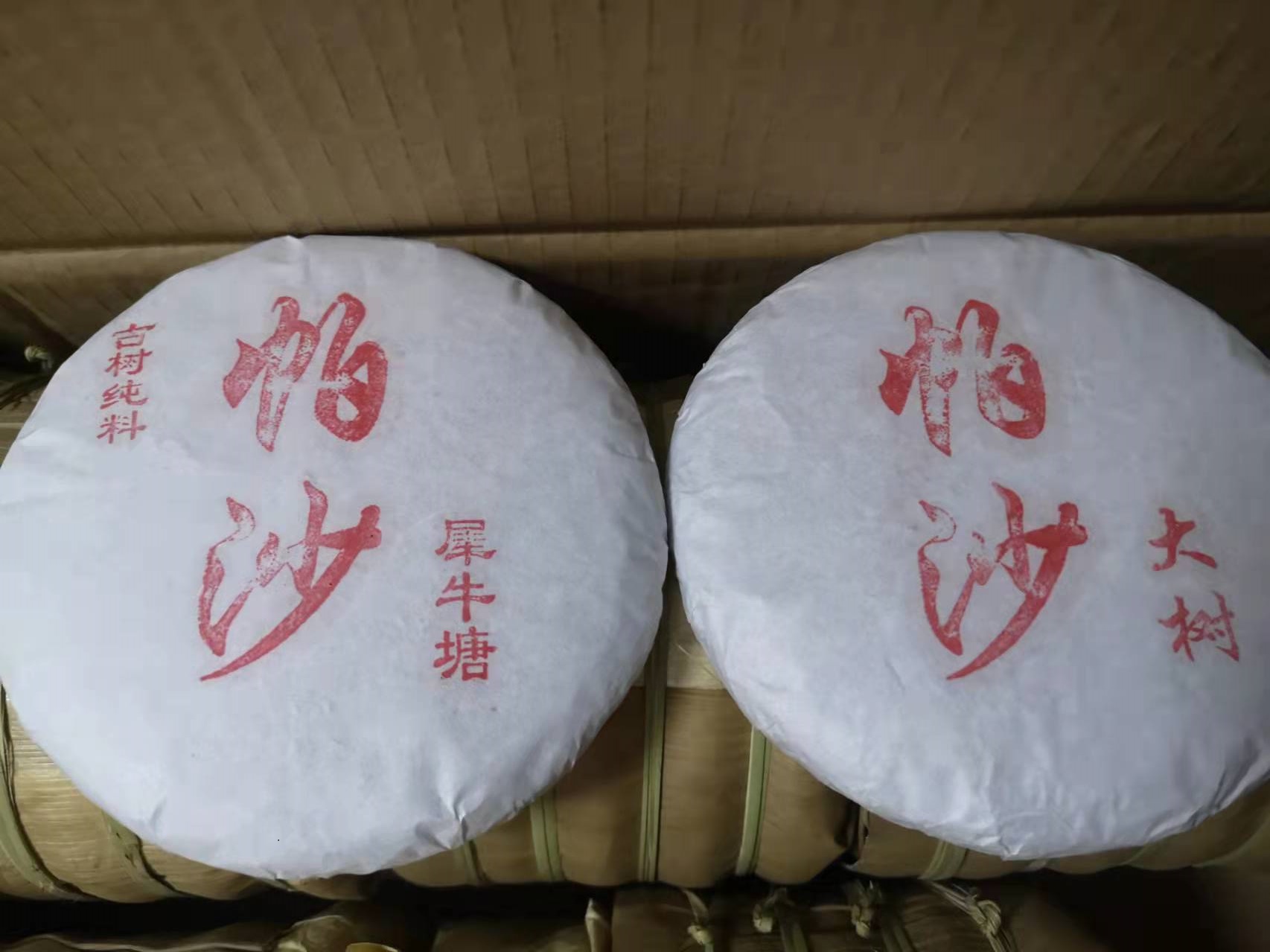 买赠福利一份！一棵唐代茶树的春天！勐海第一香妃！——2022年份云南勐海茶区格朗和乡帕沙古树犀牛塘头春挑采200g（送帕沙乔木大树200g）