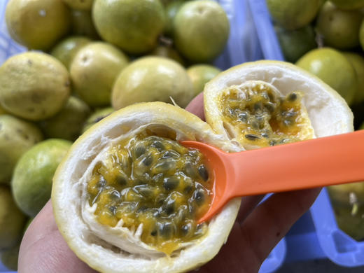 【39.9元团30个】钦蜜9号黄金百香果 直接吃都很甜，放皱后更好吃 商品图2