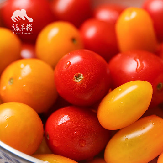 生态圣女果（四川） | 合作生产* Ecological Tomatoes｜Coproducted | Coproduction 商品图2