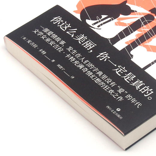 英雄与恶徒 商品图2