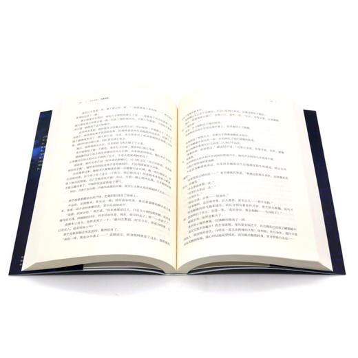 大汉天机(3九嶷谜城) 商品图4