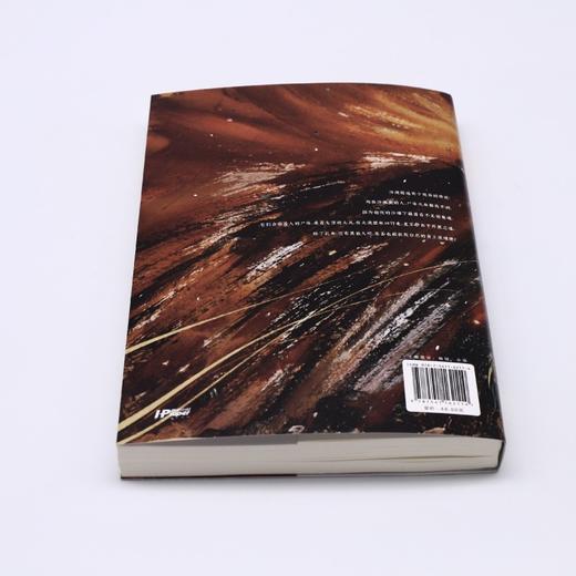 西出玉门(上) 商品图3