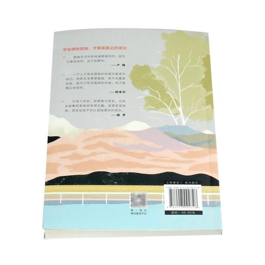 愿你拥有敢于孤独的勇气 商品图3