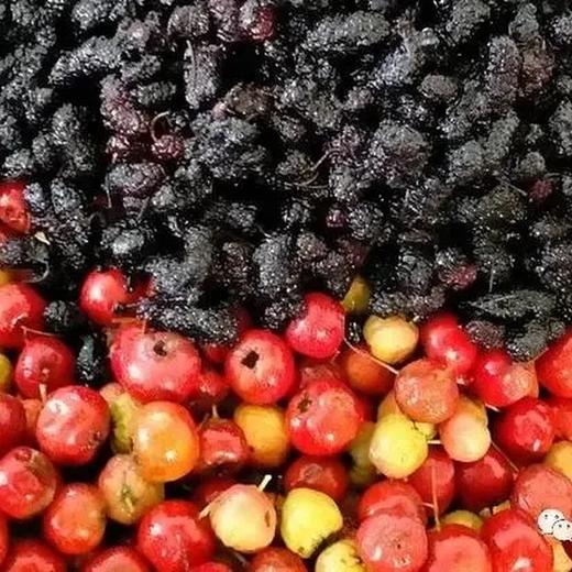 齐物游陈皮桑葚山楂条 商品图3