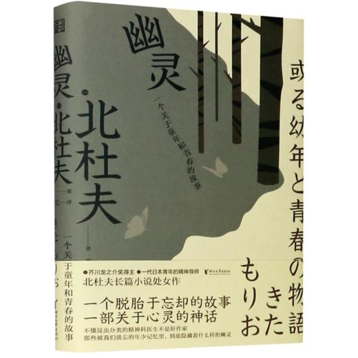 幽灵(一个关于童年和青春的故事)(精) 商品图0