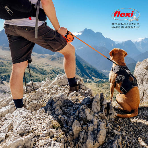 福莱希XtremeX霸王橙宠物牵引绳自动伸缩防爆冲牵引绳狗绳子大型犬遛狗绳狗链子 商品图2