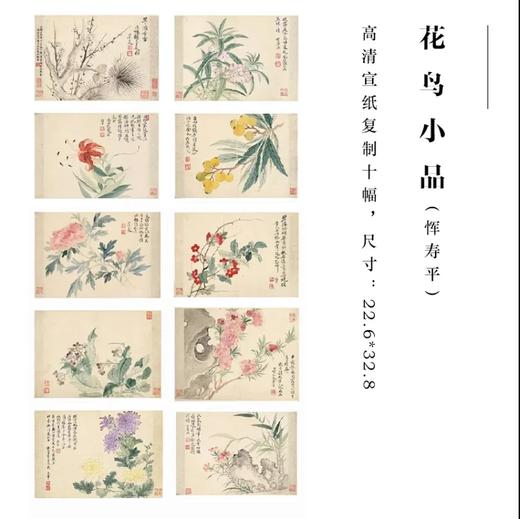 恽寿平南田没骨画精品花鸟册页10幅 原大高清宣纸复制（未装裱） 商品图0
