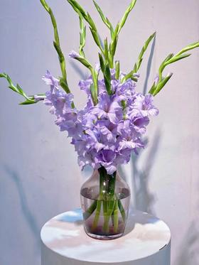 【周四秒杀】紫色剑兰6支59.8元