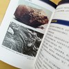 (仓发) 当天文学遇上生物学:从系外行星到生命起源 知物 自然科学通识系列10/机械工业出版社/[日]泷泽美奈子/9787111691563 商品缩略图2