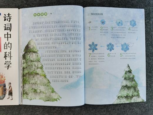 诗词中的科学（全6册)	注音版  赠 历年中考试题卷 商品图6