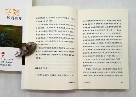 《九说中国》，全9册，郭永秉、张伟然等著 商品图5