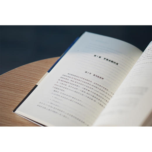 说谎者悖论：真与循环 商品图5