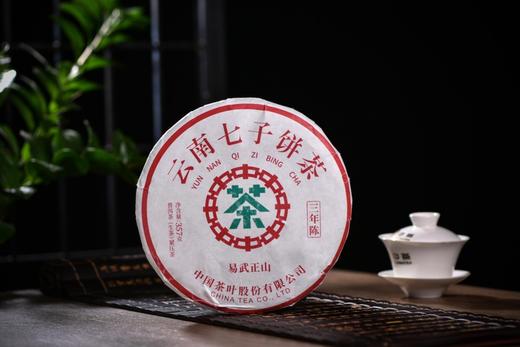 中茶 易武正山（生）357克/饼 商品图0