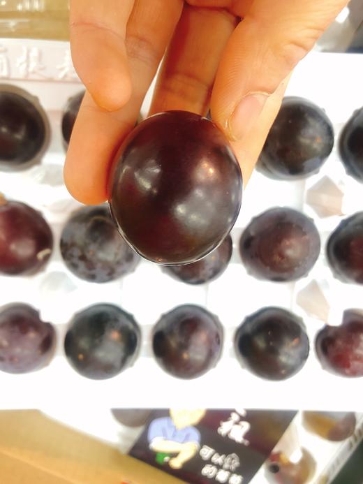 葡提老祖葡萄一盒（拼团） 商品图1