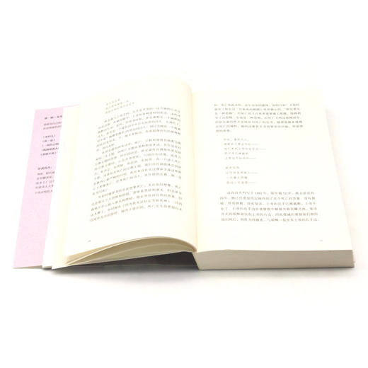 孤独是迷人的 商品图4