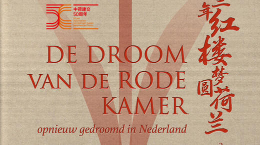 《十三年红楼梦圆荷兰》第2集 商品图0