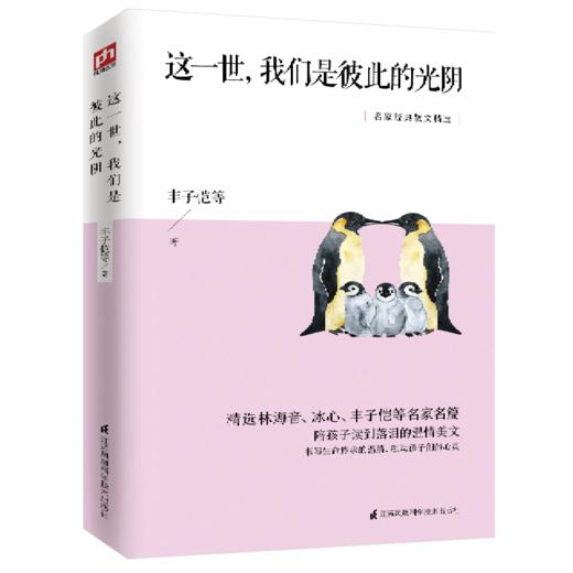 这一世我们是彼此的光阴 商品图0