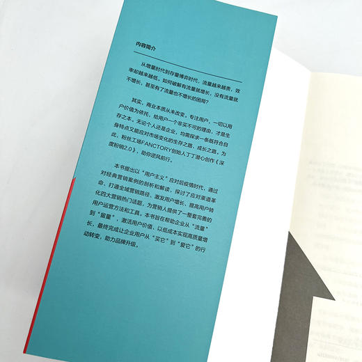 深度粉销2.0：低成本、爆发式增长的用户运营法则 丁丁著市场营销管理销售粉丝工场FANCTORY书籍私域流量直播 商品图11